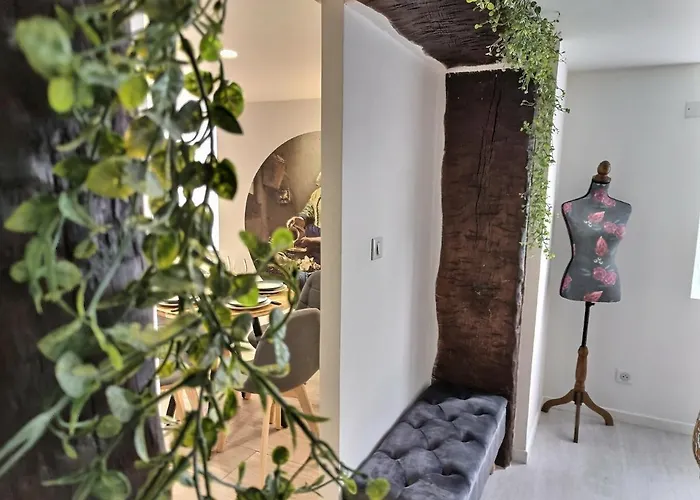 • La Fermiere • Parking Gratuit • Clim • Netflix Apartment Albi