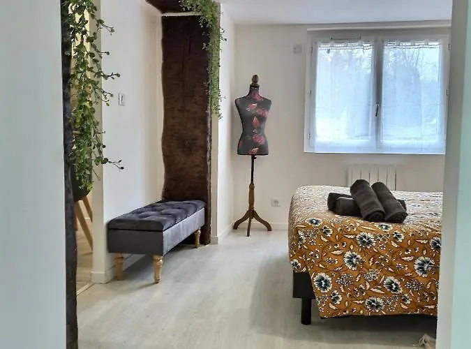 • La Fermiere • Parking Gratuit • Clim • Netflix Albi